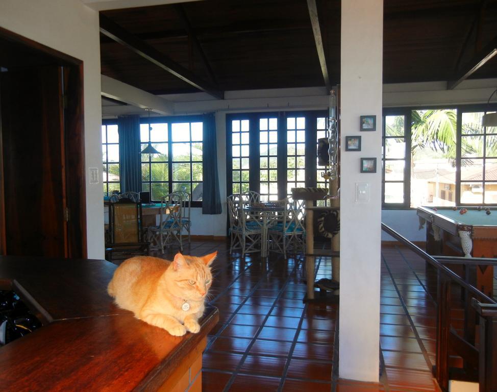Готель The Cats' House Флоріанополіс Екстер'єр фото