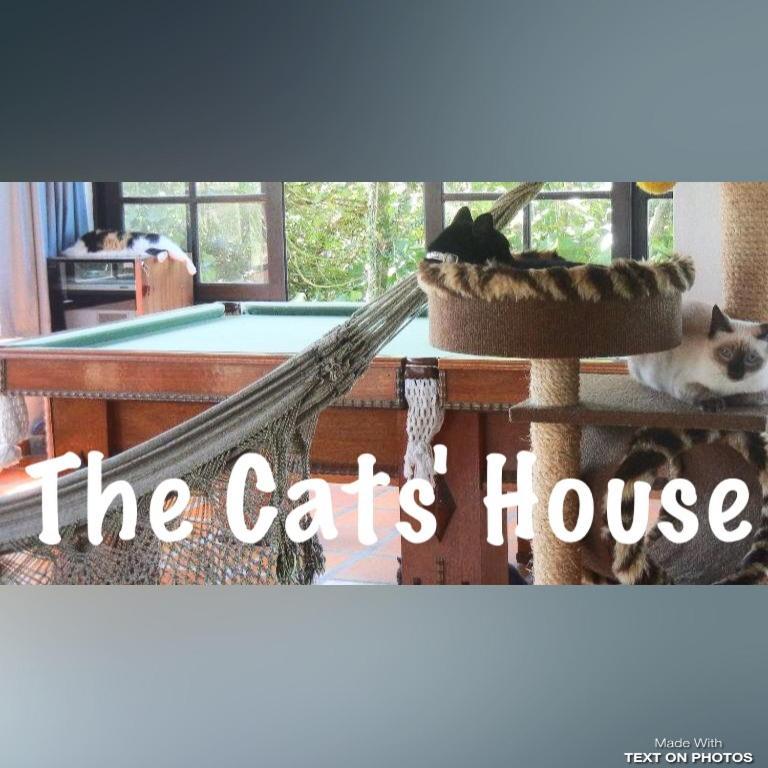 Готель The Cats' House Флоріанополіс Екстер'єр фото