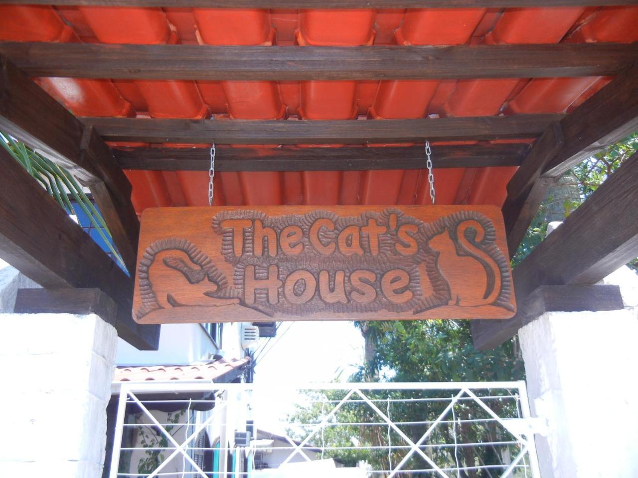Готель The Cats' House Флоріанополіс Екстер'єр фото